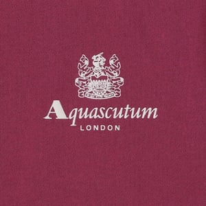 Sudadera Aquascutum Active con logotipo pequeño en color burdeos