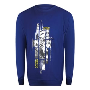 Sudadera Azul Iris Con Gráfico De Tigre Astillado De Cavalli Class