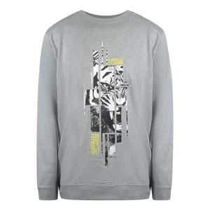 Sudadera Gris Con Gráfico De Tigre Astillado De Cavalli Class