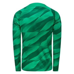 Camiseta De Portero De Manga Larga Nike Psg Verde