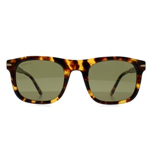 Serengeti Cuadrado Hombre Habana Brillante Mineral Polarizado 555nm Fotocrómico Charlton