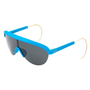 Gafas de sol retro Pld 6037s