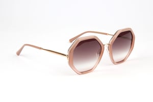 Ana Hickmann Sunglasses AH3292 C02 53