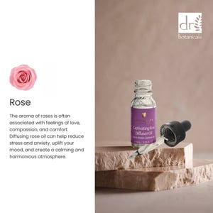 Dr. Botanicals Aceite difusor de rosa cautivadora 10 ml