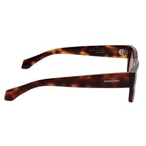 Gafas de sol de acetato rectangulares para hombre SF2064SE