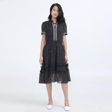 Polka Dots Fit and Flare Chiffon Dress