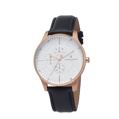 Pierre Cardin Men's Watch PC902731F117
