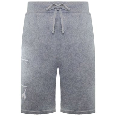 Shorts Diadora Logo Hombre Gris