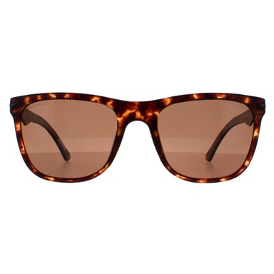 Gafas de sol Police SPL357 Blacbird Light 2 878P marrón habana oscuro mate