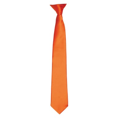 Premier Unisex Adult Satin Tie (Terracotta)