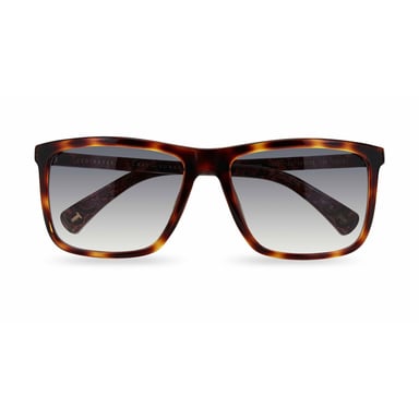 Ted Baker TB1663 122 havana gris degradado gafas de sol