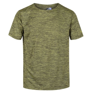 Regatta Mens Fingal Edition Marl T-Shirt (Dark Tang Marl)