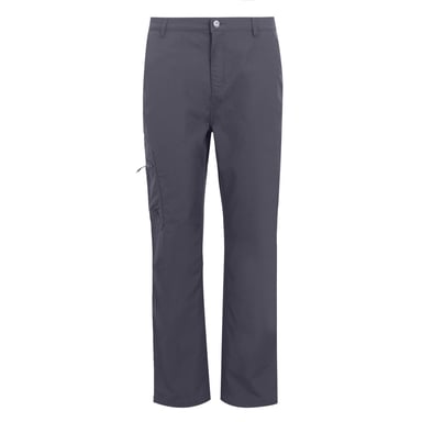 Regatta Mens Dalry Multi Pocket Trousers (Seal Grey)