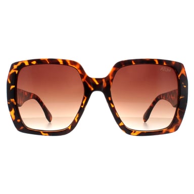 Gafas de sol Atum Zouk C2 degradado marrón havana brillante