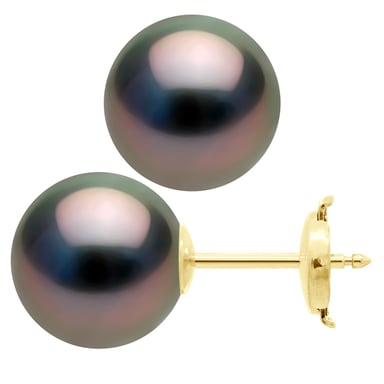 Earrings - Yellow Gold 375 - Real Cultured Tahiti Pearls Round 10-11 mm