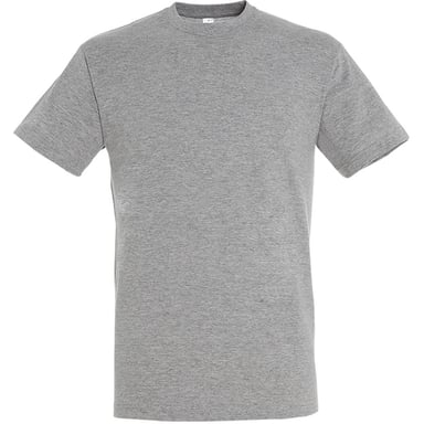 SOLS Mens Regent Short Sleeve T-Shirt (Grey Marl)