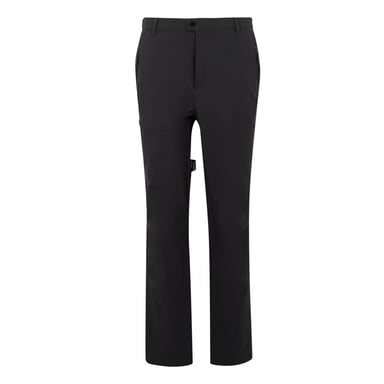 Regatta Mens Highton II Hiking Trousers (Ash)