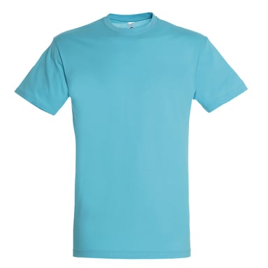 SOLS Mens Regent Short Sleeve T-Shirt (Aqua)