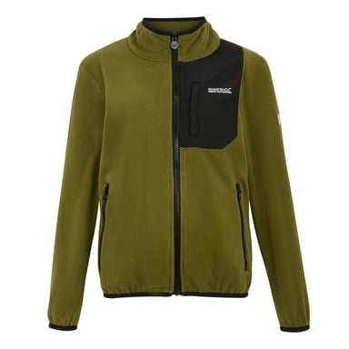 Regatta Childrens/Kids Frankie Full Zip Fleece Jacket (Nephrite Green)