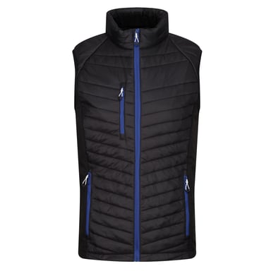 Regatta Mens Navigate Quilted Hybrid Gilet (Black/New Royal)