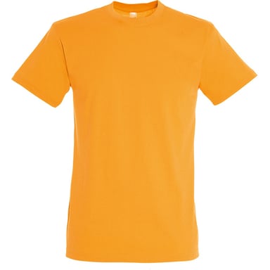 SOLS Mens Regent Short Sleeve T-Shirt (Apricot)