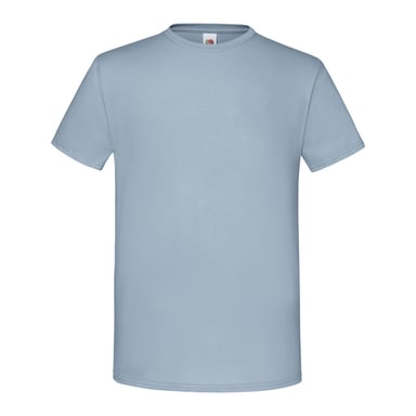Fruit Of The Loom Mens Iconic T-Shirt (Mineral Blue)