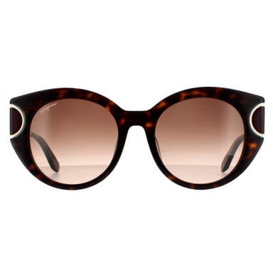 Gafas de sol de mujer estilo cat eye de tortuga marrón con degradado de Salvatore Ferragamo