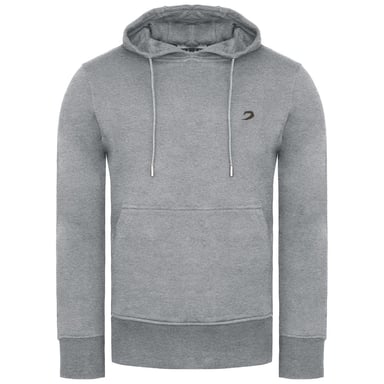 BoxRaw Marciano sudadera con capucha gris para hombre