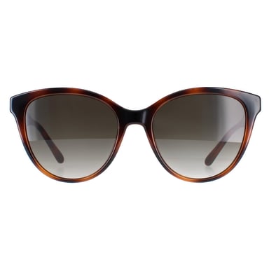 Salvatore Ferragamo SF1073S 240 gafas de sol gris tortuga degradado