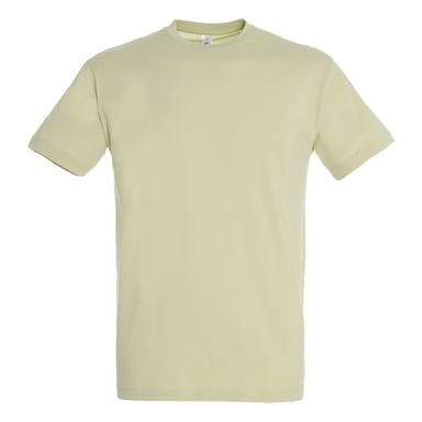 SOLS Unisex Adult Regent T-Shirt (Sage Green)