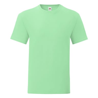Fruit Of The Loom Mens Iconic T-Shirt (Pack of 5) (Neo Mint)