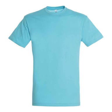 SOLS Unisex Adult Regent T-Shirt (Atoll Blue)