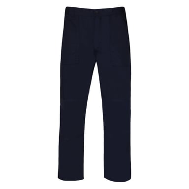 Regatta Mens New Action Trouser (Regular) / Pants (Navy Blue)