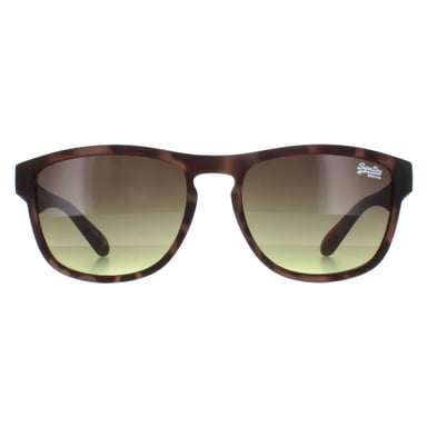 Gafas de sol Superdry Rockstar 170A marrÃ³n