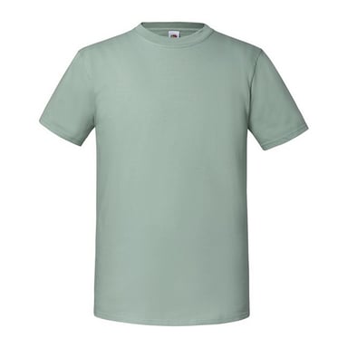 Fruit Of The Loom Mens Iconic 195 Ringspun Premium Tshirt (Sage)