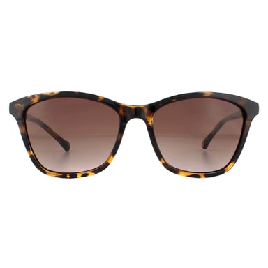 Ted Baker Gafas de Sol TB1440 Tari 122 Habana Marrón Gradiente