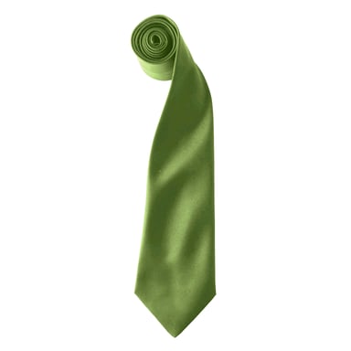 Premier Colours Mens Satin Clip Tie (Pack of 2) (Oasis Green)