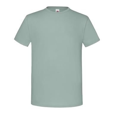 Fruit Of The Loom Mens Iconic T-Shirt (Sage)