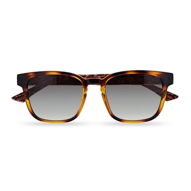 Gafas de sol Ted Baker TB1635 Surf 122 pulidas gris tortuga oscuro degradado