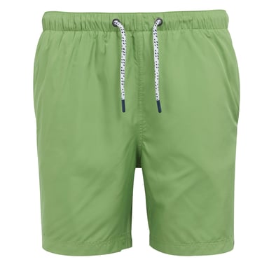 Regatta Mens Mackleyna Swim Shorts (Piquant Green)