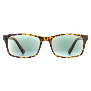 Montana Gafas de sol MR73AS Havana Verde Lectores +1.00