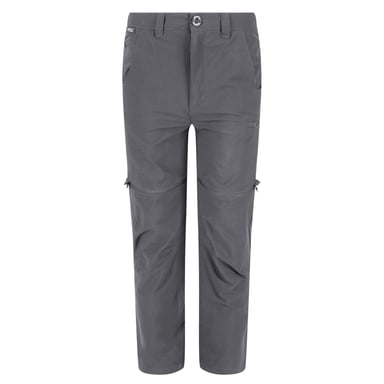 Regatta Childrens/Kids Highton Stretch Zip-Off Walking Trousers (Seal Grey)