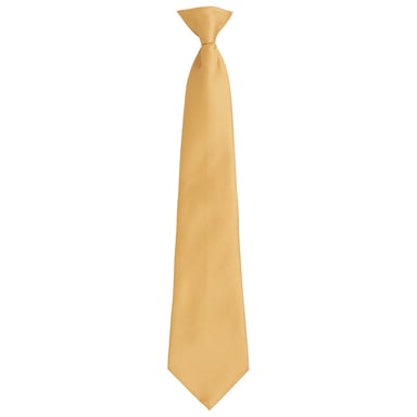 Premier Unisex Adult Colours Fashion Plain Clip-On Tie (Gold)