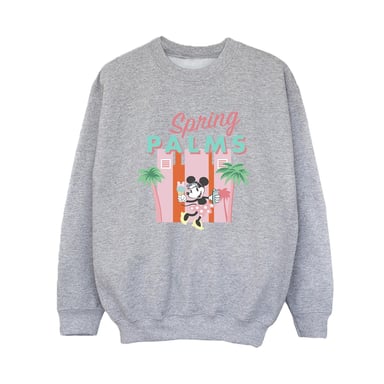 Disney Boys Minnie Mouse Spring Palms Sweatshirt (Sports Grey)