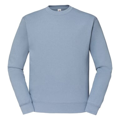 Fruit Of The Loom Mens Classic 80/20 Raglan Sweatshirt (Mineral Blue)