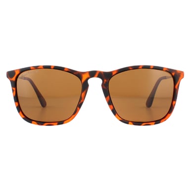 Montana Gafas de sol MP34 C Marrón Tortuga Rubbertouch Marrón Polarizadas