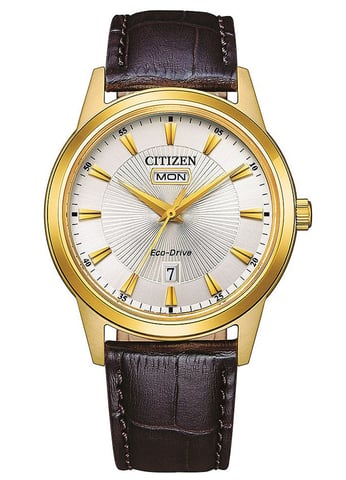 Citizen  Men's Brown Watch AW0102-13AE