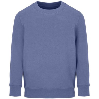 SOLS Childrens/Kids Columbia Sweatshirt (Blue)