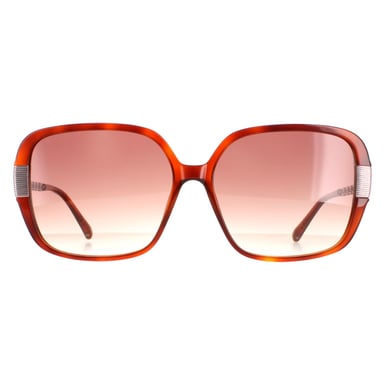 Ted Baker Cuadrado Señoras Tortuga Marrón Gradiente TB1616 Indi