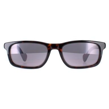 Moncler ML0116 52C havana oscuro gafas de sol de espejo de humo